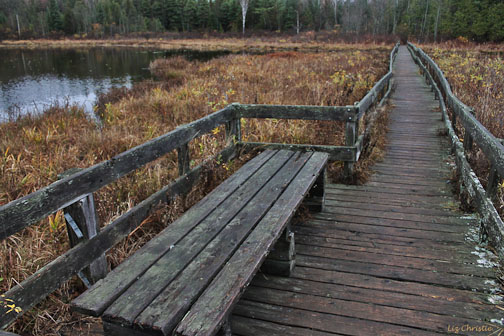 Boardwalk bench